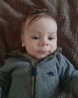 Анастасія Петрушко