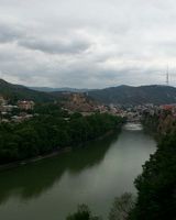 Діана Нечипоренко