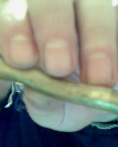 ЗОЛОТО ЗОЛОТО