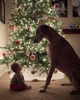 Александр Потерлевич