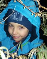 Давид Серебряков