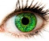 Андрей Пономаренко