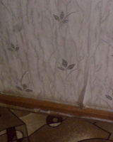 Елена Коваленко