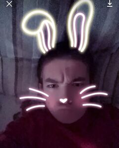 Влад Шелест