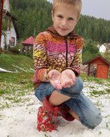 Елена Данилович
