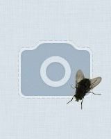 Олексій Микитюк