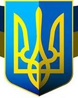 Володимир Палій