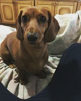 Екатерина Федорова