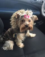 Наталія Назар