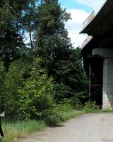 Димон Каптан