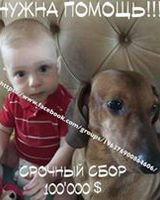 Алена Шелех