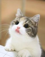 Марина Самойленко