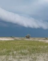 Даниил Брехер