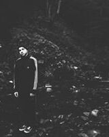 Владислав Сиренко