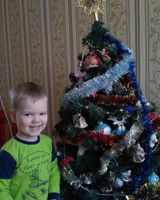 Володимир Шеманаев