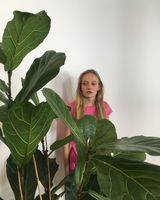 Анна Павліченко