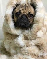 Анастасия Уварова