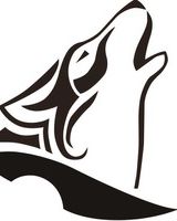 Яна Волошина