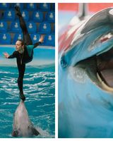 Катерина Бізюкіна