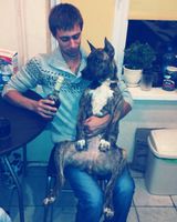 Алексей Чернецов