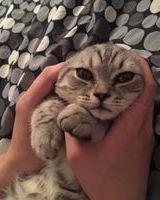 Яна Ветрова