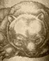 Демьян Чернелевский