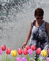 Наталья Макарова