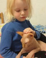 Аліса Ручко