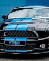 Филипп Резник