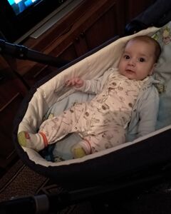 Ромка. Альона Плиса