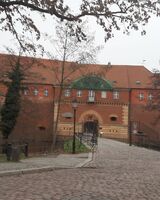 Снежана Борисова