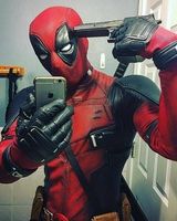 Вова Файбиш