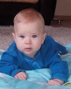 Захар Попович