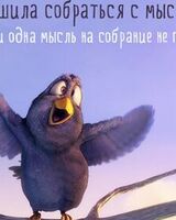 Боря Степаненко