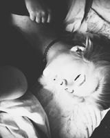 Діана Моленко