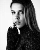 Angelina 