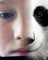 Костя Кагутенко