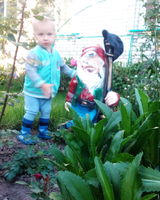 Майя Волынец