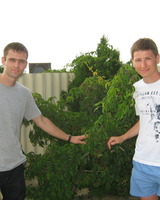 Павел Кульков