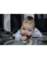 Арсен Сітовський