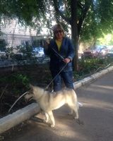 Aлла Сергейко