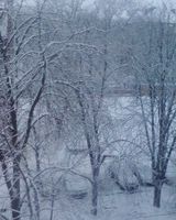 Злата Пражская