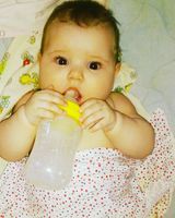 Мила сорокопуд