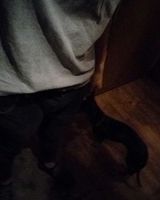Дима Оношко