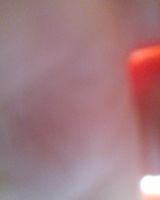 Катя Петрова