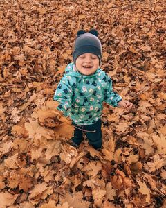 Михаил Солоха