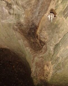 апиыапи ыамиыаип