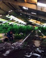 Игорь Соломко