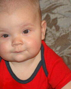 Александр Ситнянский