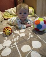 Никита Шевченко